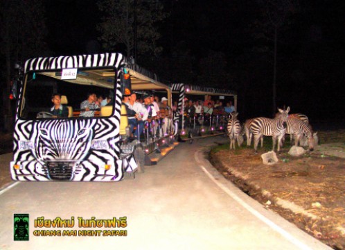 ナイトサファリ